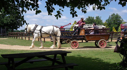 heavy horse and cart